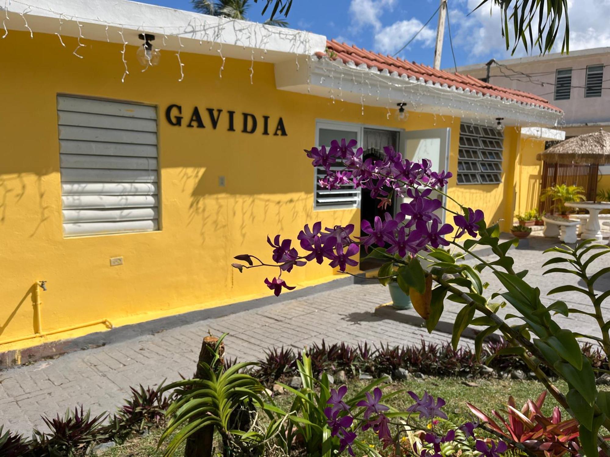 Gavidias Guest House San Lorenzo Kültér fotó